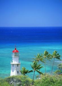 ձͣ׼뾳 Ӣ䶨ڿ˺ͣ