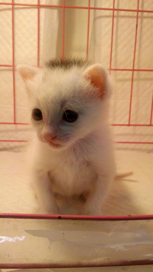 ܹģ2000ԪйҵĻ仧Ϻ