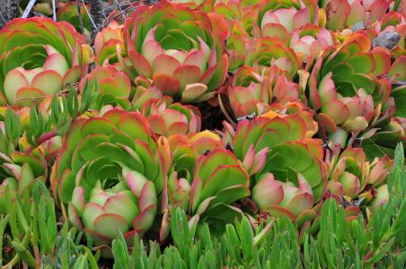 óٻٰڶ조걭 ҵ20֧Ӳ